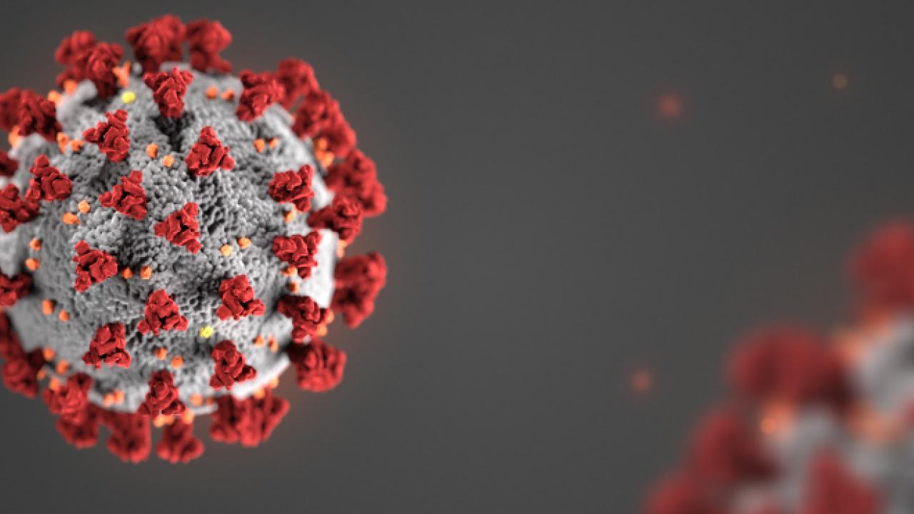 Coronavirus Image